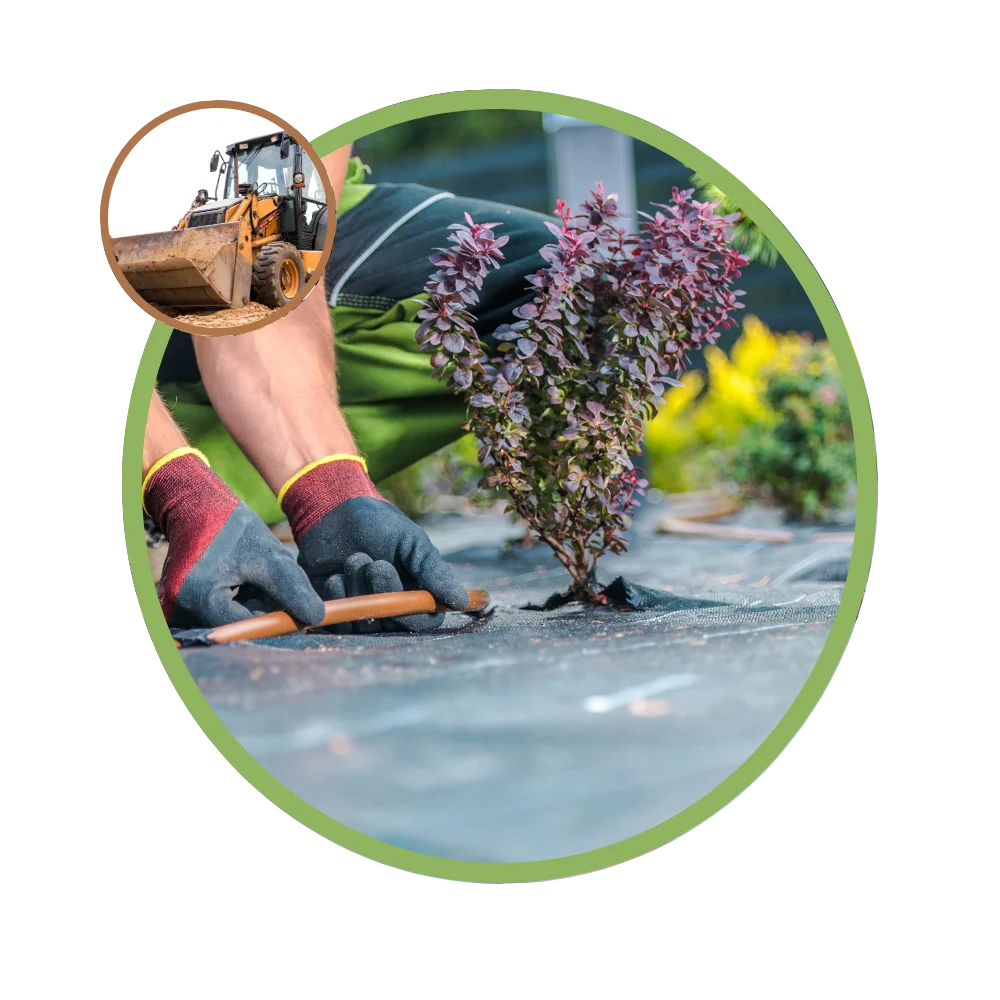 Kertépítés Budapesten – növényültetés és talajtakarás